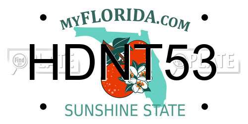 HDNT53 Florida License Plate