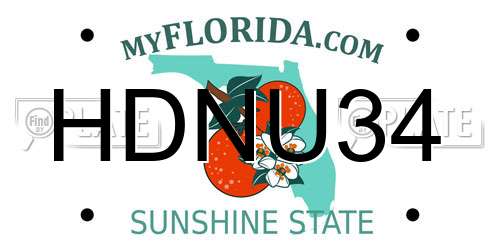 HDNU34 Florida License Plate