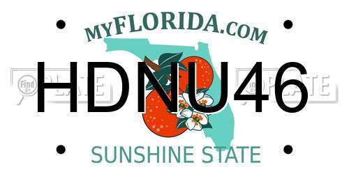 HDNU46 Florida License Plate