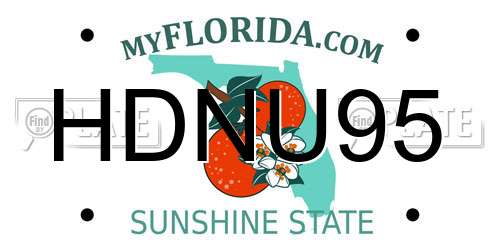 HDNU95 Florida License Plate