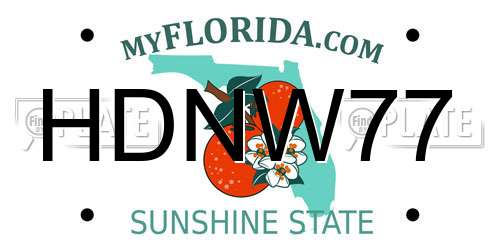 HDNW77 Florida License Plate