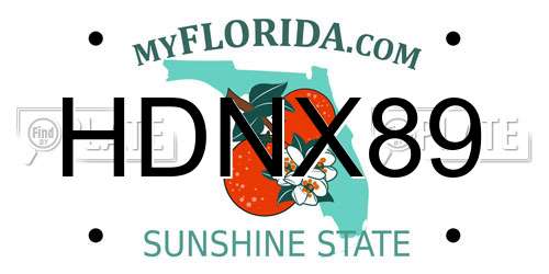 HDNX89 Florida License Plate