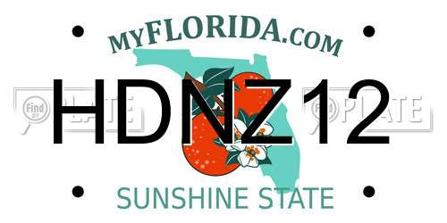 HDNZ12 Florida License Plate
