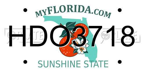 HDO3718 Florida License Plate