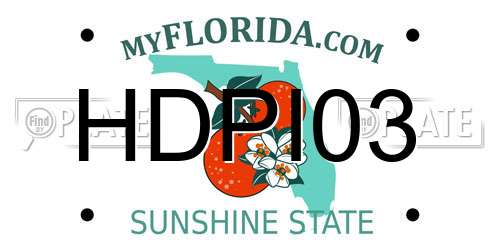 HDPI03 Florida License Plate