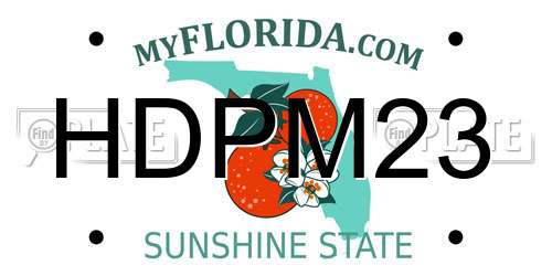 HDPM23 Florida License Plate