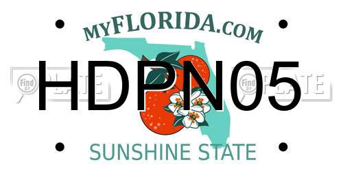 HDPN05 Florida License Plate
