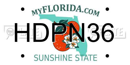 HDPN36 Florida License Plate