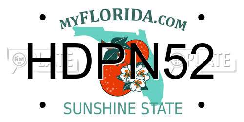 HDPN52 Florida License Plate