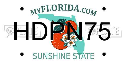 HDPN75 Florida License Plate