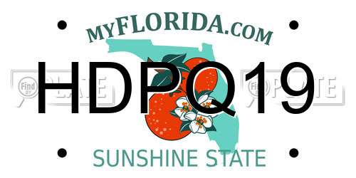 HDPQ19 Florida License Plate