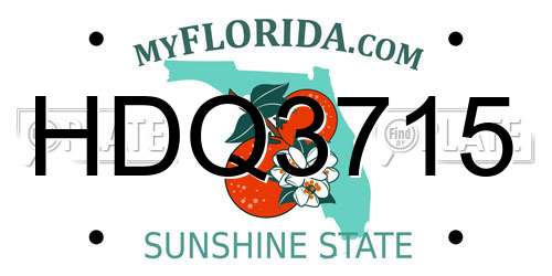 HDQ3715 Florida License Plate