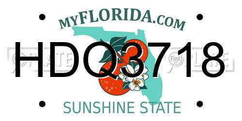 HDQ3718 Florida License Plate