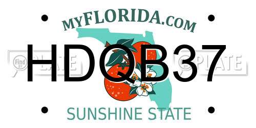 HDQB37 Florida License Plate