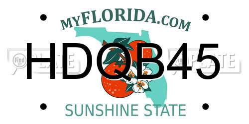 HDQB45 Florida License Plate