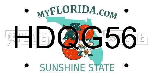 HDQG56 Florida License Plate