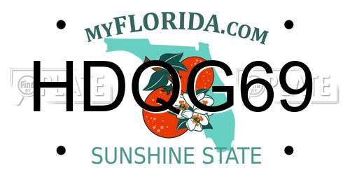 HDQG69 Florida License Plate
