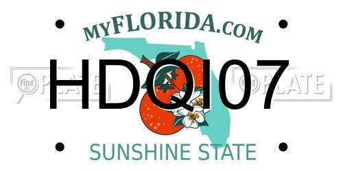 HDQI07 Florida License Plate