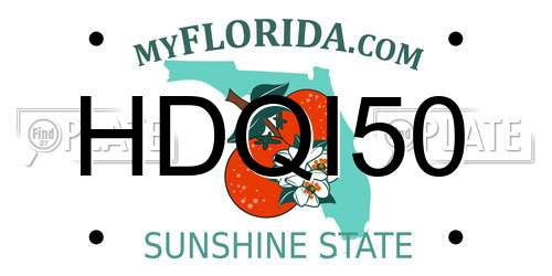 HDQI50 Florida License Plate