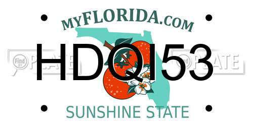 HDQI53 Florida License Plate
