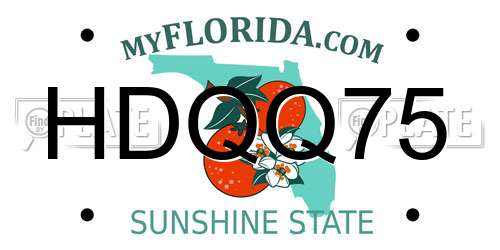 HDQQ75 Florida License Plate