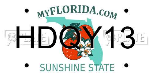 HDQY13 Florida License Plate