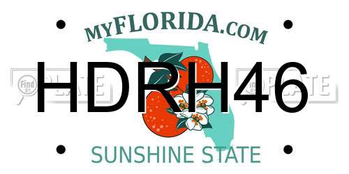HDRH46 Florida License Plate