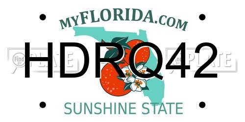 HDRQ42 Florida License Plate