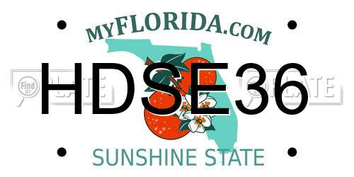 HDSE36 Florida License Plate
