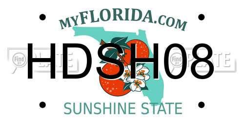 HDSH08 Florida License Plate