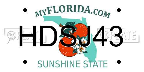 HDSJ43 Florida License Plate