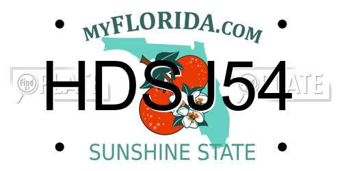HDSJ54 Florida License Plate