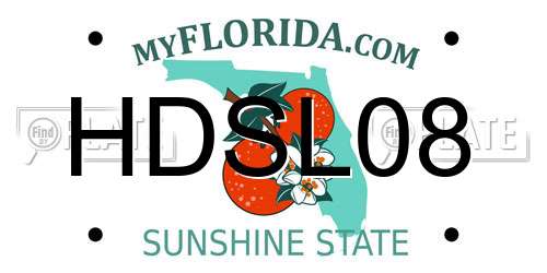 HDSL08 Florida License Plate