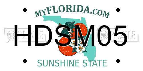 HDSM05 Florida License Plate