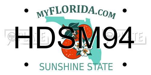 HDSM94 Florida License Plate