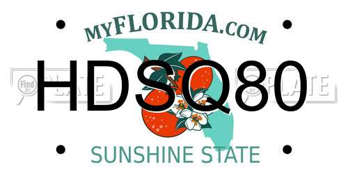HDSQ80 Florida License Plate