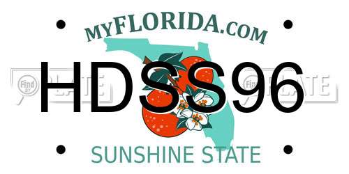 HDSS96 Florida License Plate