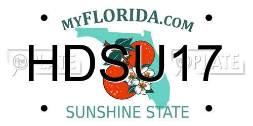 HDSU17 Florida License Plate