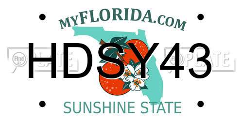 HDSY43 Florida License Plate