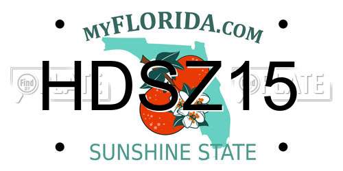 HDSZ15 Florida License Plate