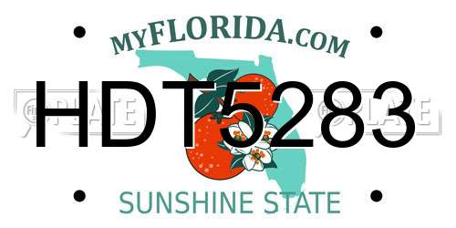 HDT5283 Florida License Plate