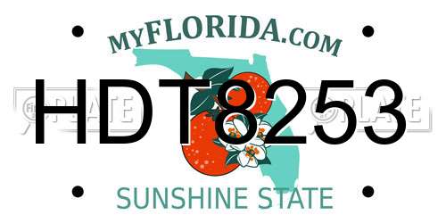 HDT8253 Florida License Plate