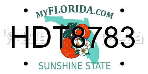 HDT8783 Florida License Plate
