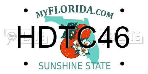 HDTC46 Florida License Plate
