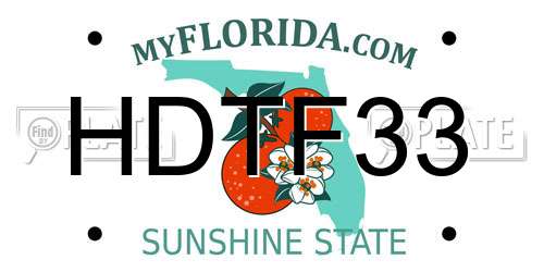 HDTF33 Florida License Plate