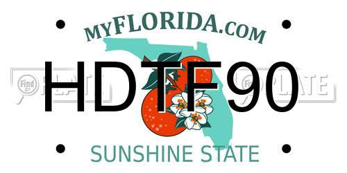 HDTF90 Florida License Plate
