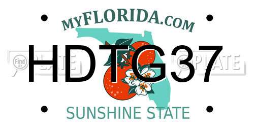 HDTG37 Florida License Plate