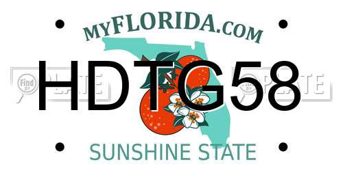 HDTG58 Florida License Plate