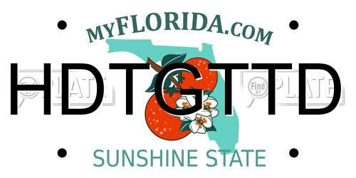 HDTGTTD Florida License Plate