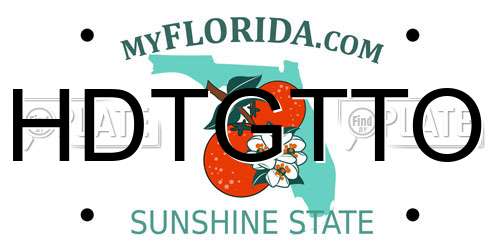 HDTGTTO Florida License Plate